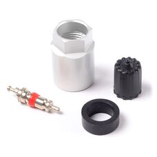 Ремкомплект вентеля под датчика давления TPMS Service Kit for Volvo (17-20010AK)