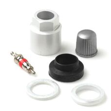 Ремкомплект вентеля под датчика давления TPMS Service Kit for Misc. Imports (17-20211AK)