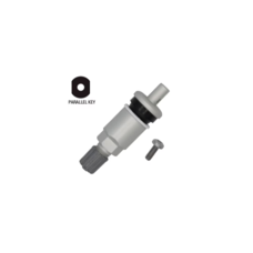 Вентиль разборной TPMS 17-20048 для датчика давления GM/FORD (17-20048)